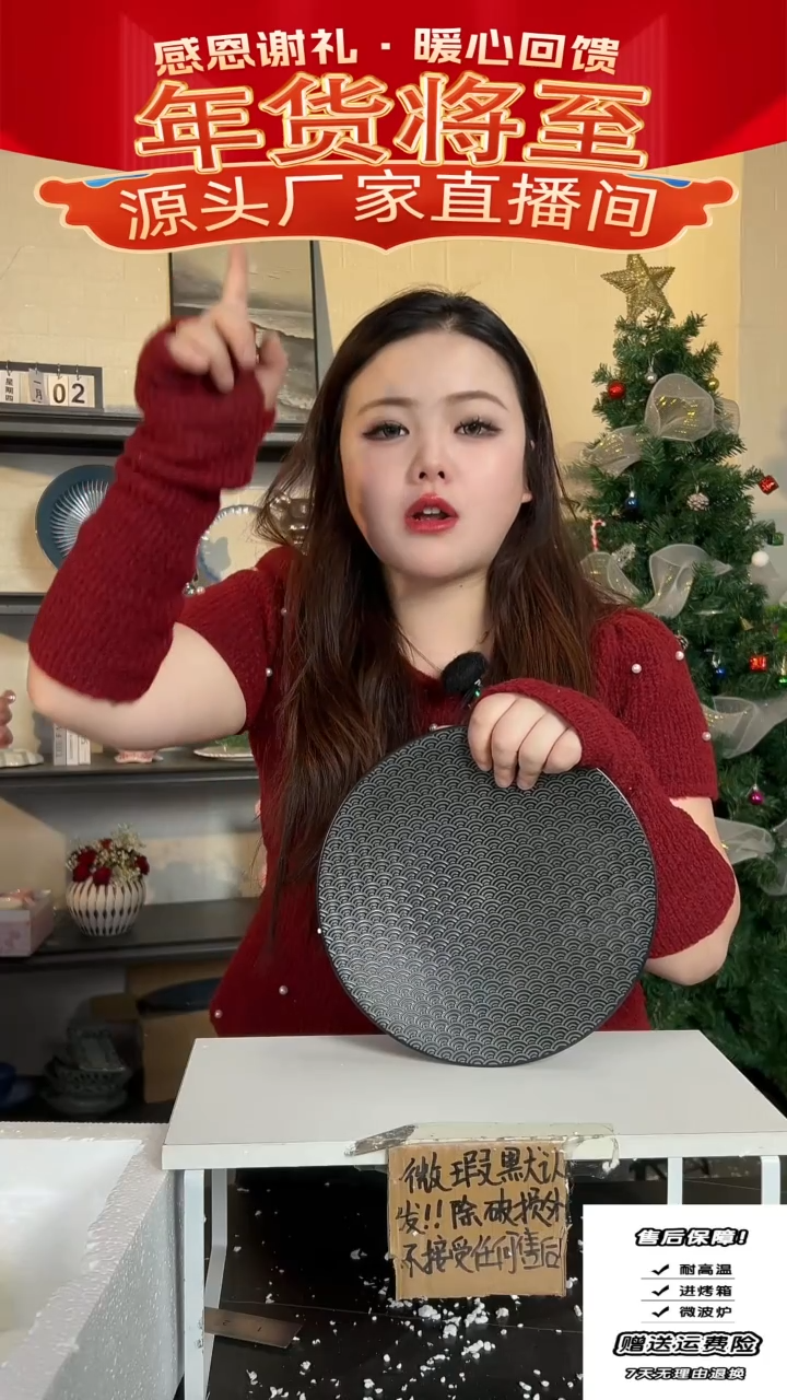 【闪购商品】瓷日式盘子-25CM