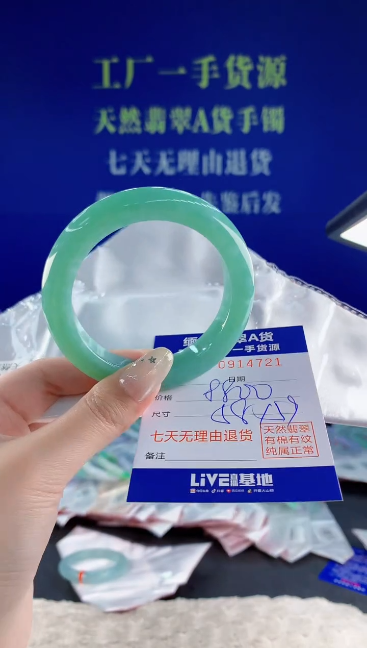未镶嵌手镯翡翠21