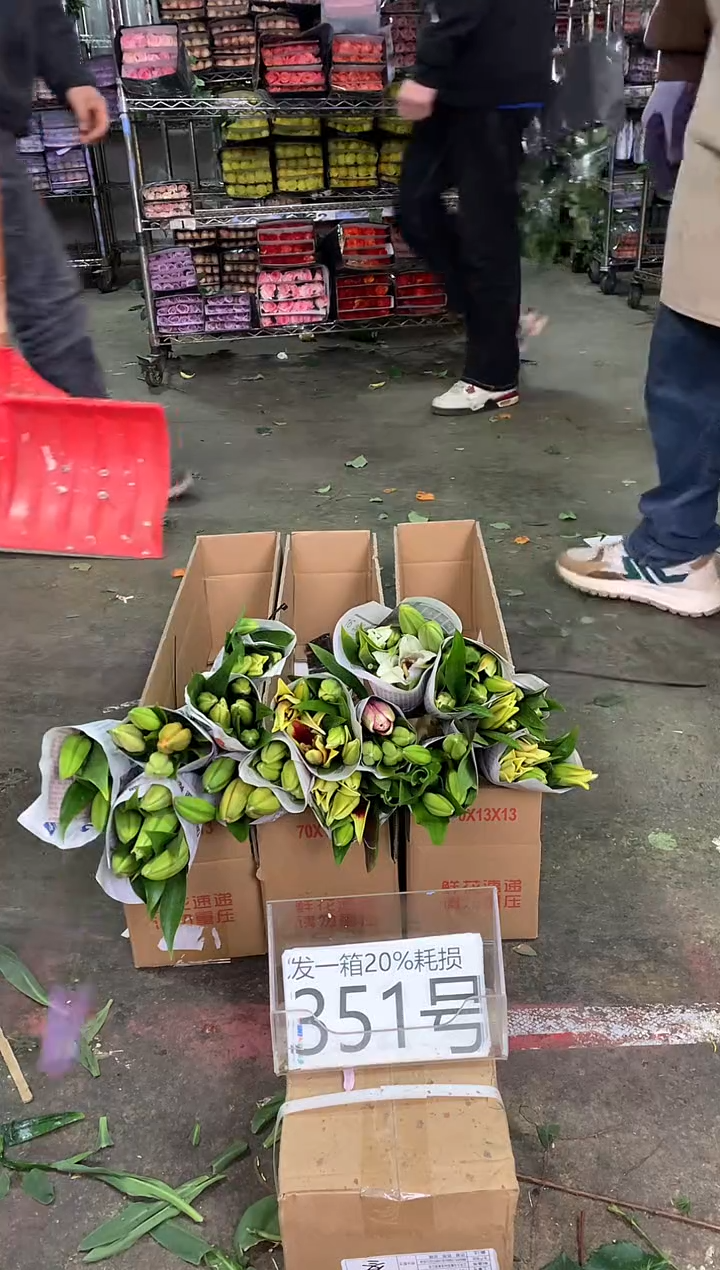 351/5号♥中通含20%耗损发一箱鲜花