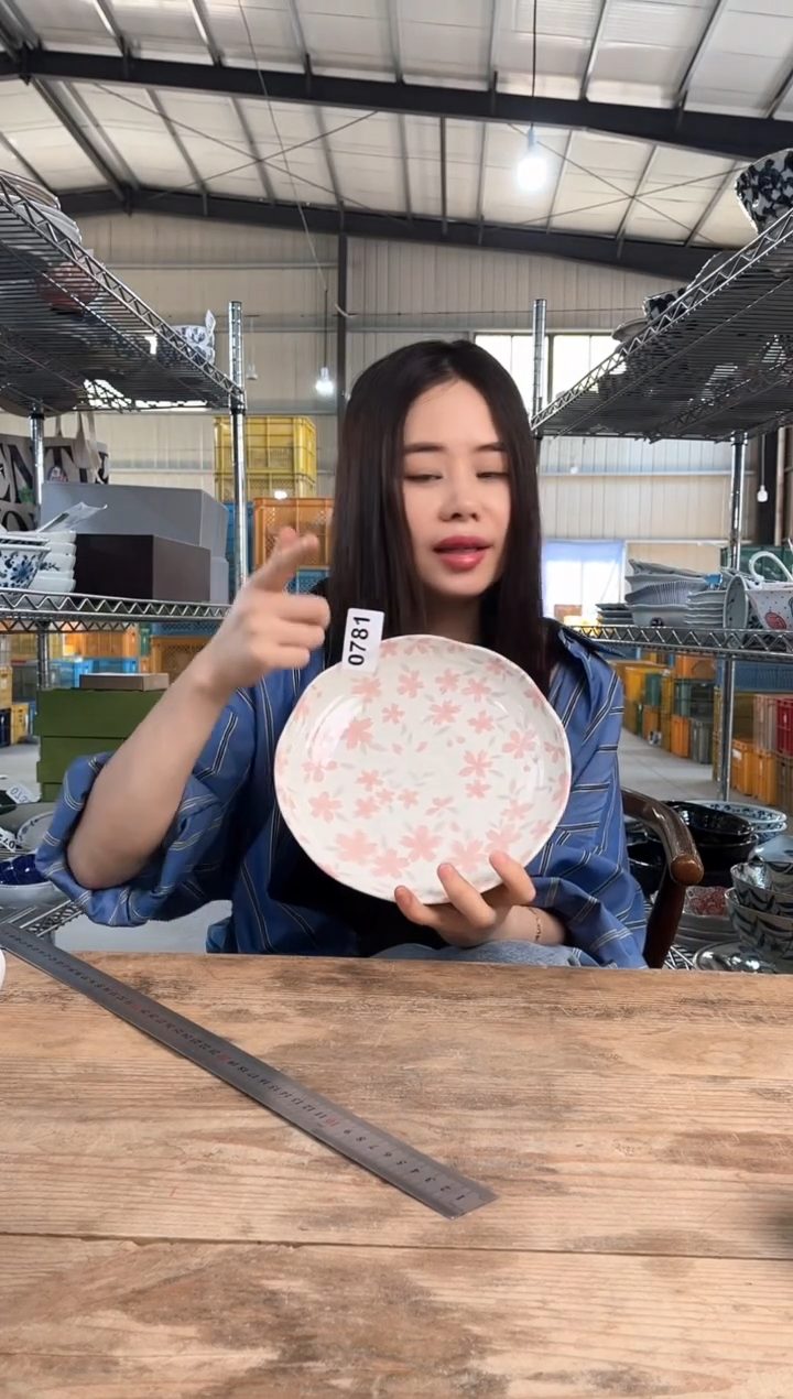 瓷片           781号