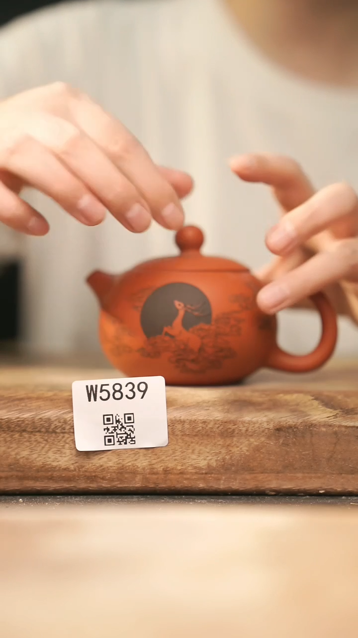 【经典福利】/ 壶@@W5839