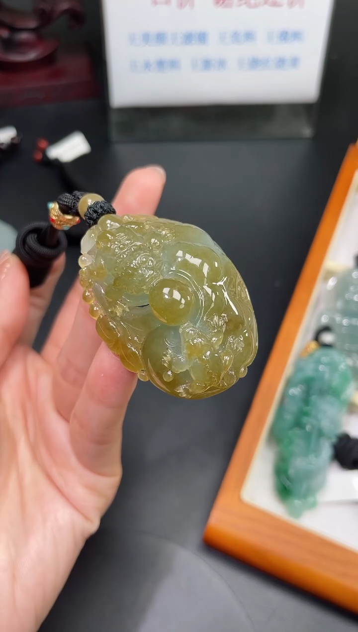 【闪购商品】翡翠颈饰未镶嵌貔貅