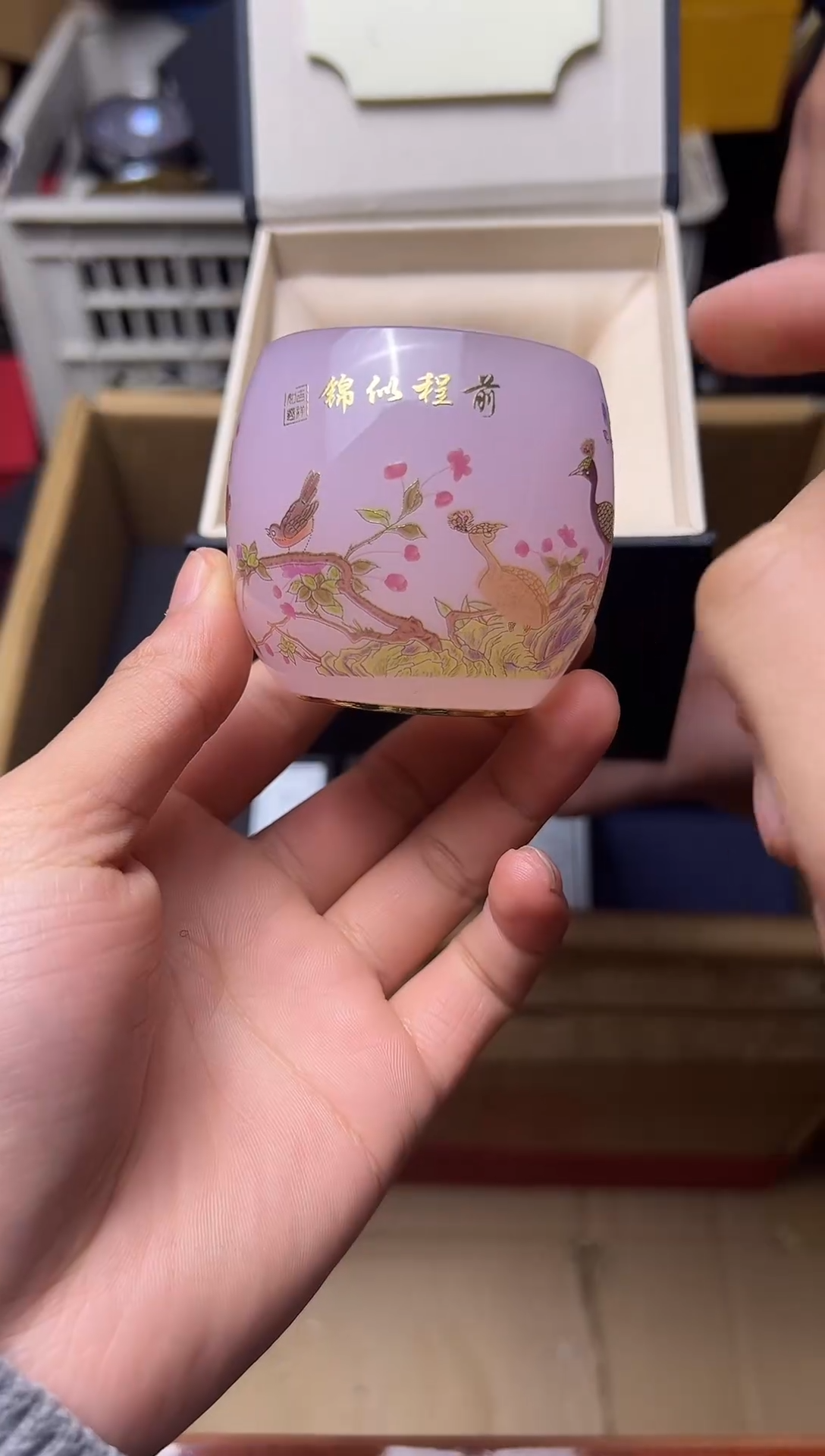  主人杯111111111