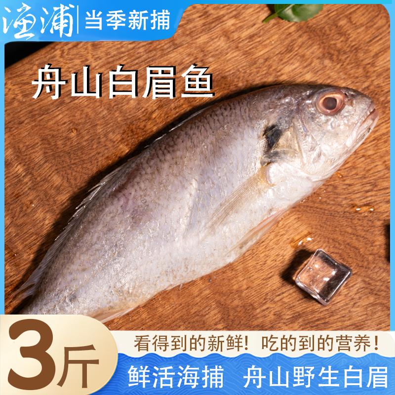 【东海白眉鱼】肉质鲜嫩 入口即化 顺丰包邮