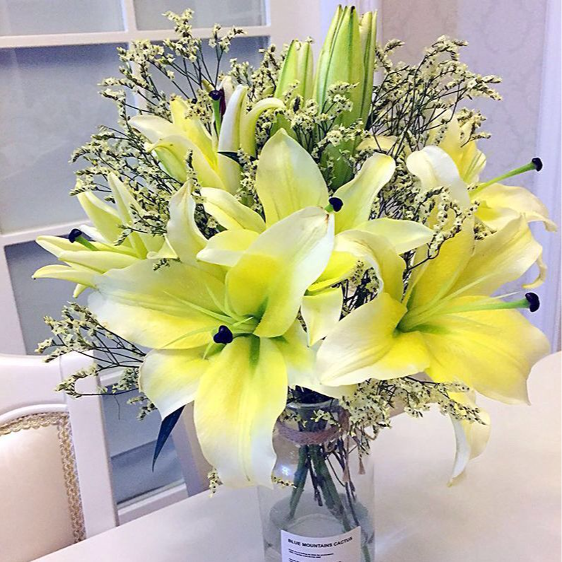 黄色百合鲜切花卉水养花卉云南基地直发年宵花