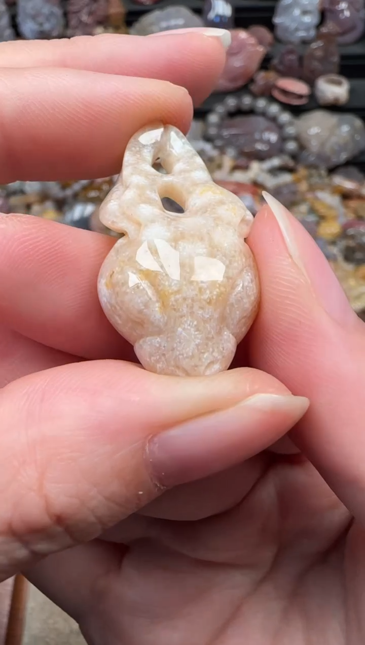 颈饰未镶嵌硅化珊瑚（珊瑚玉）528