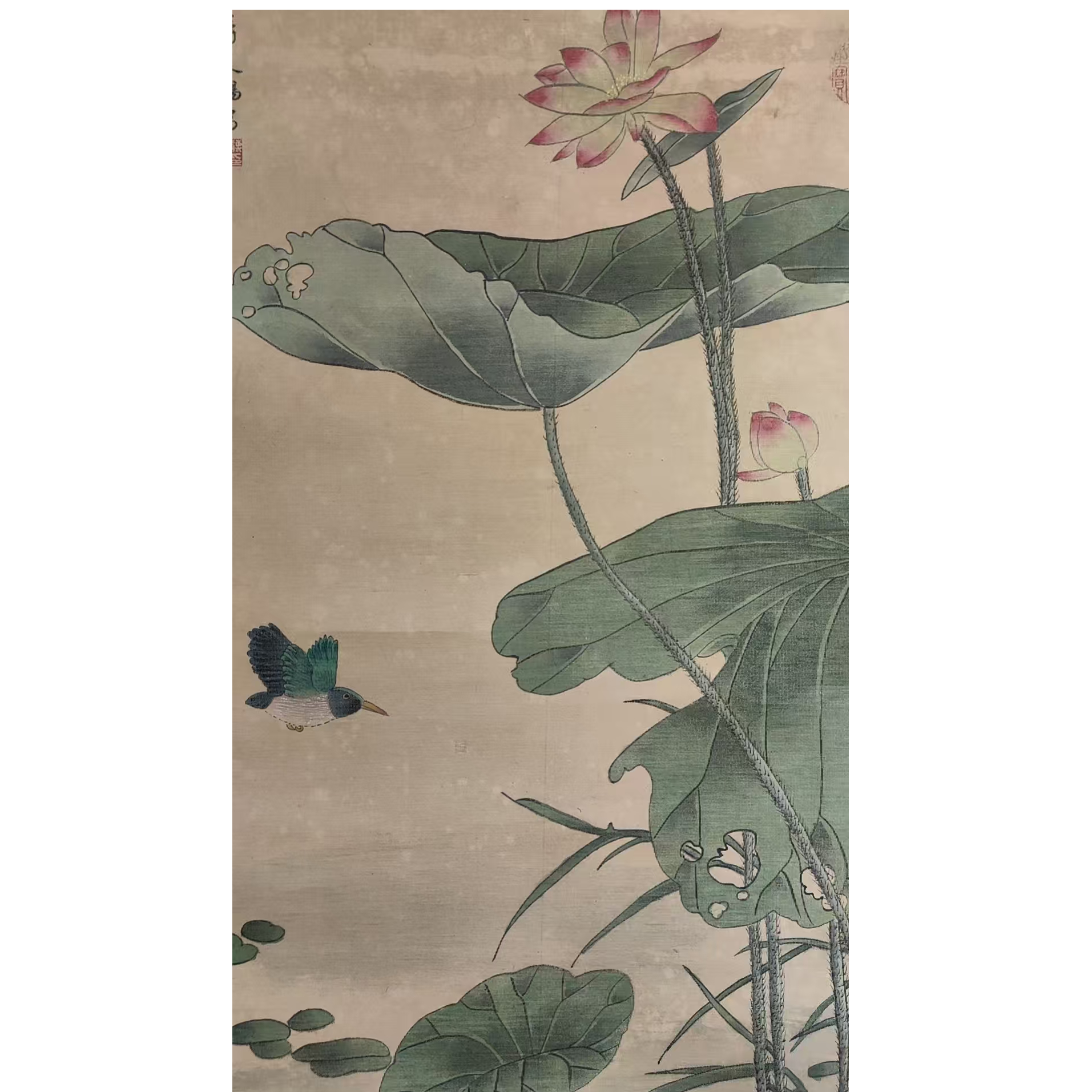 蒋      绢本花鸟立轴了82/42