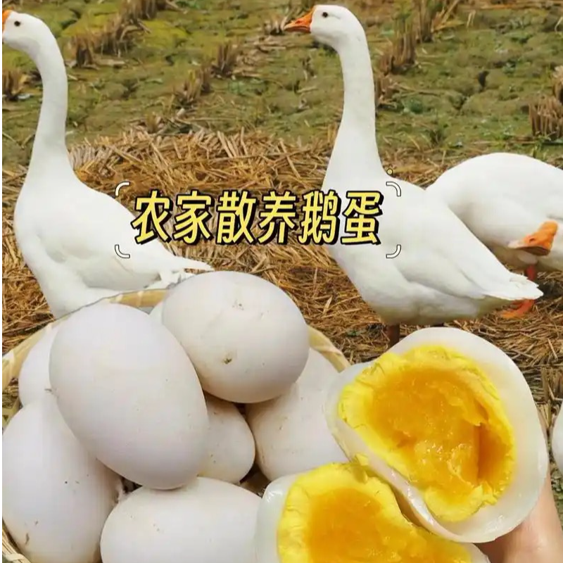 新鲜鹅蛋农家散养土鹅蛋130克以上发货12枚净重1500克以上