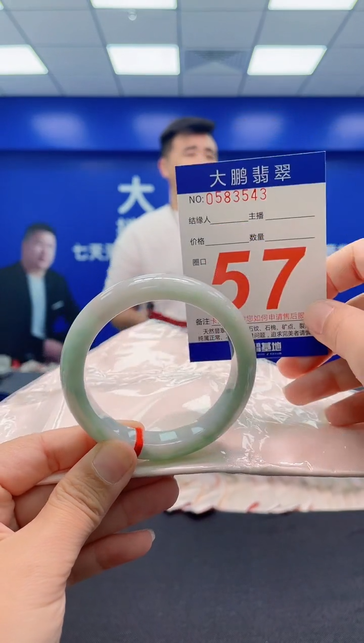 未镶嵌手镯翡翠AAAAAAAAA
