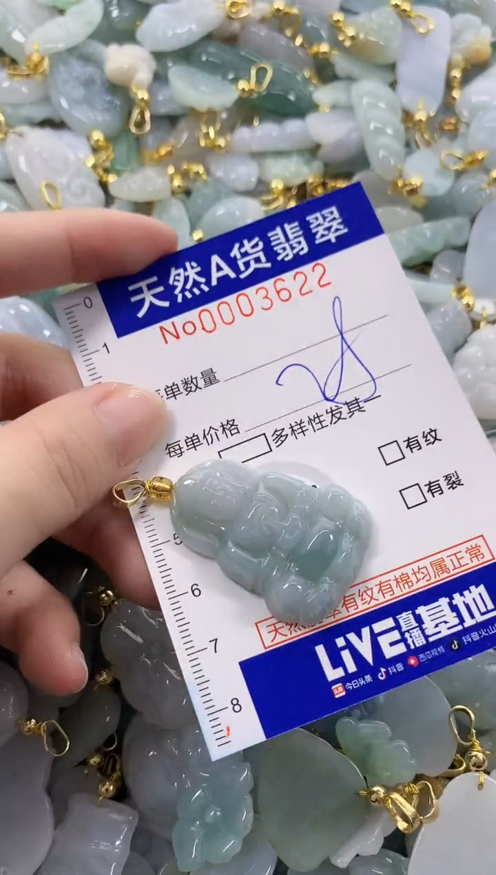颈饰未镶嵌翡翠天然A货翡翠