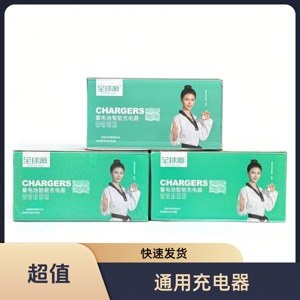 全球源48-12AH电动车铅酸电池充电器