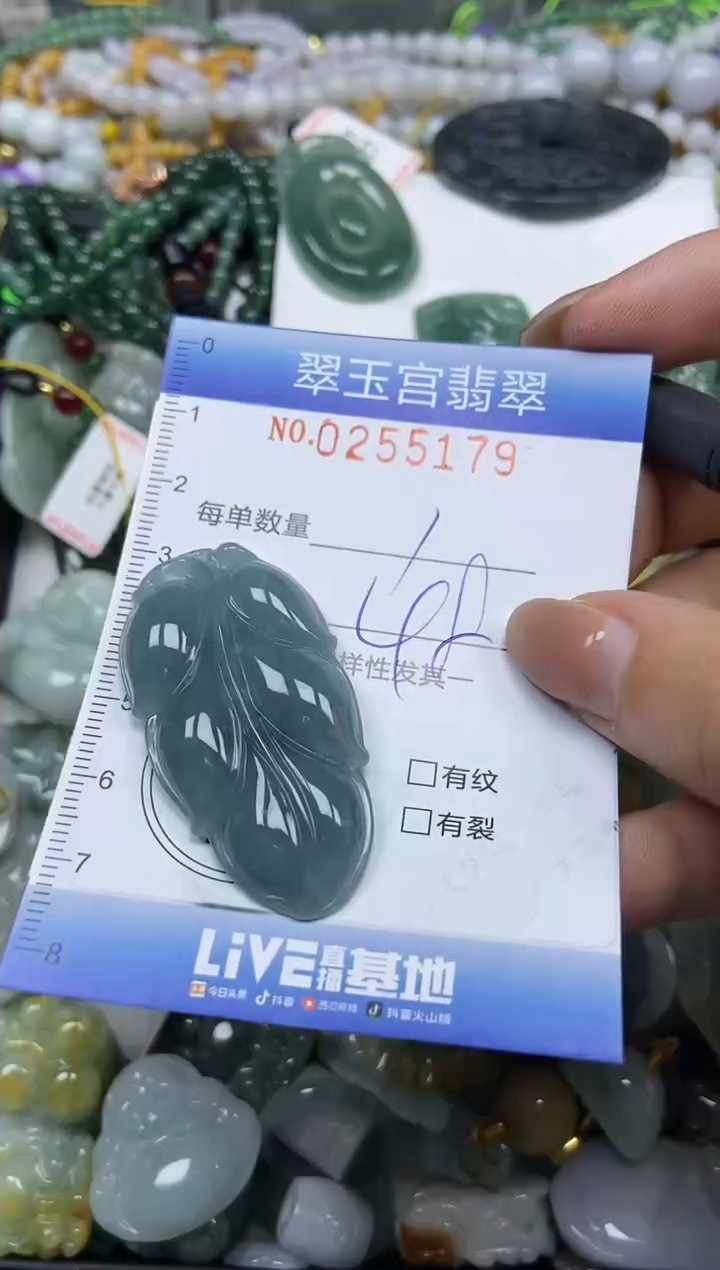 颈饰未镶嵌翡翠闪购C0255179