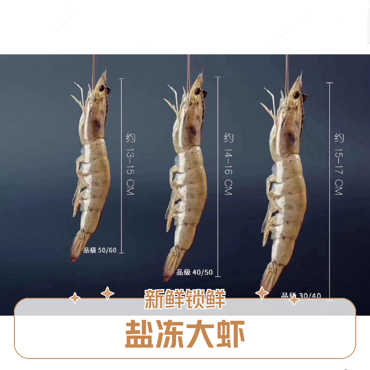 【盐冻大虾昆明全城配送】20-30规格 海洋大虾 极速锁鲜 新鲜活冻 小时到家kg