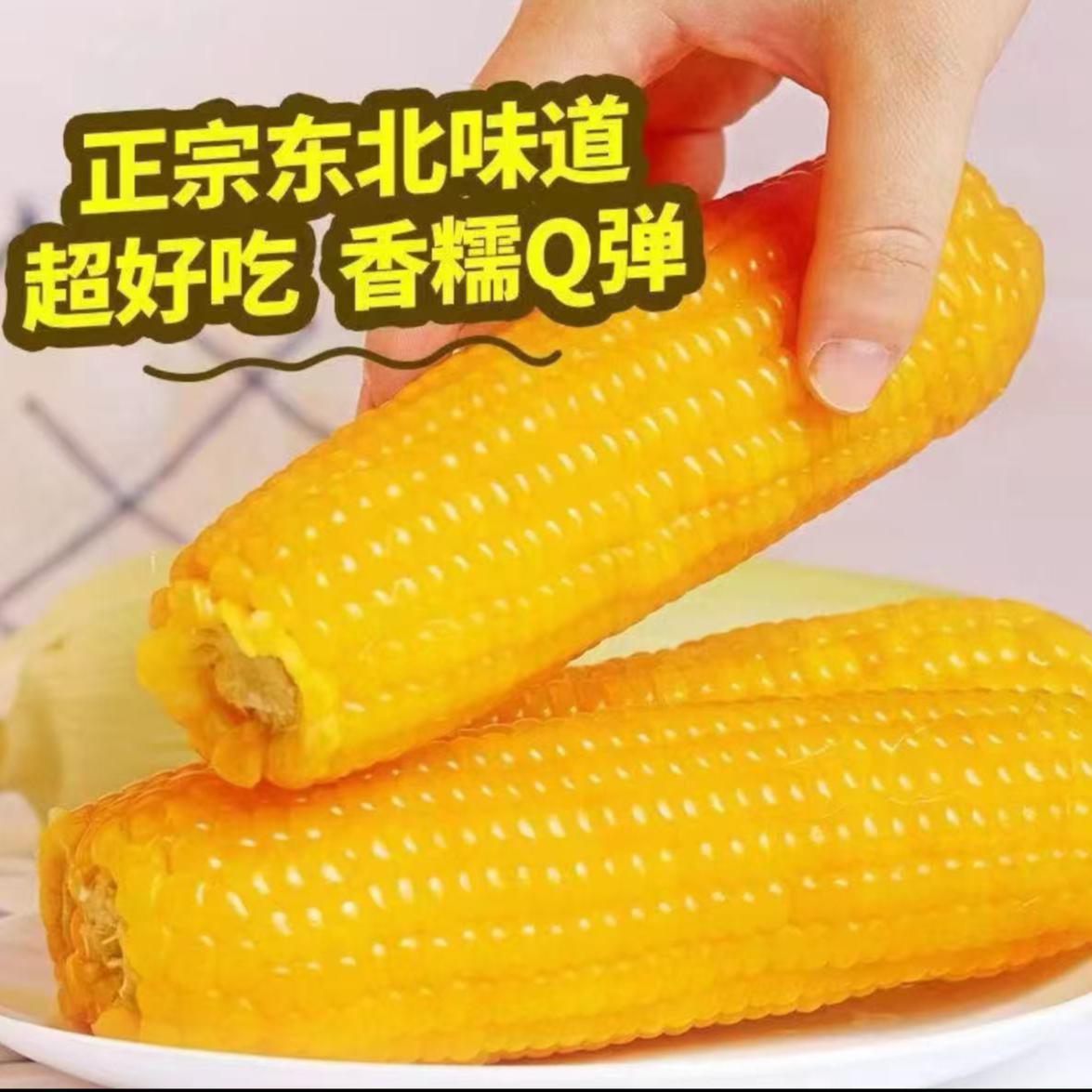 【新人专属】东北真空包装糯玉米单根280g-350g整箱8斤试吃2根
