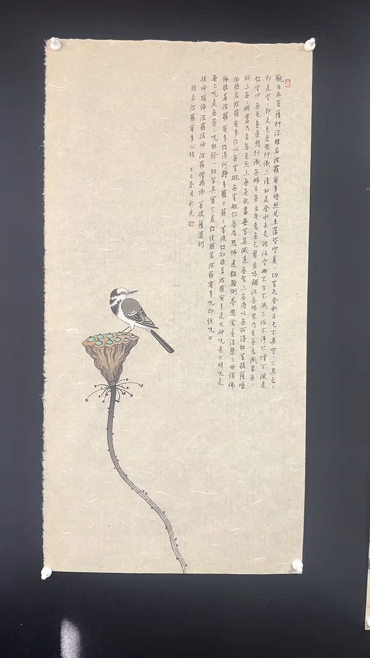 【闪购商品】国画绘画小鸟心经