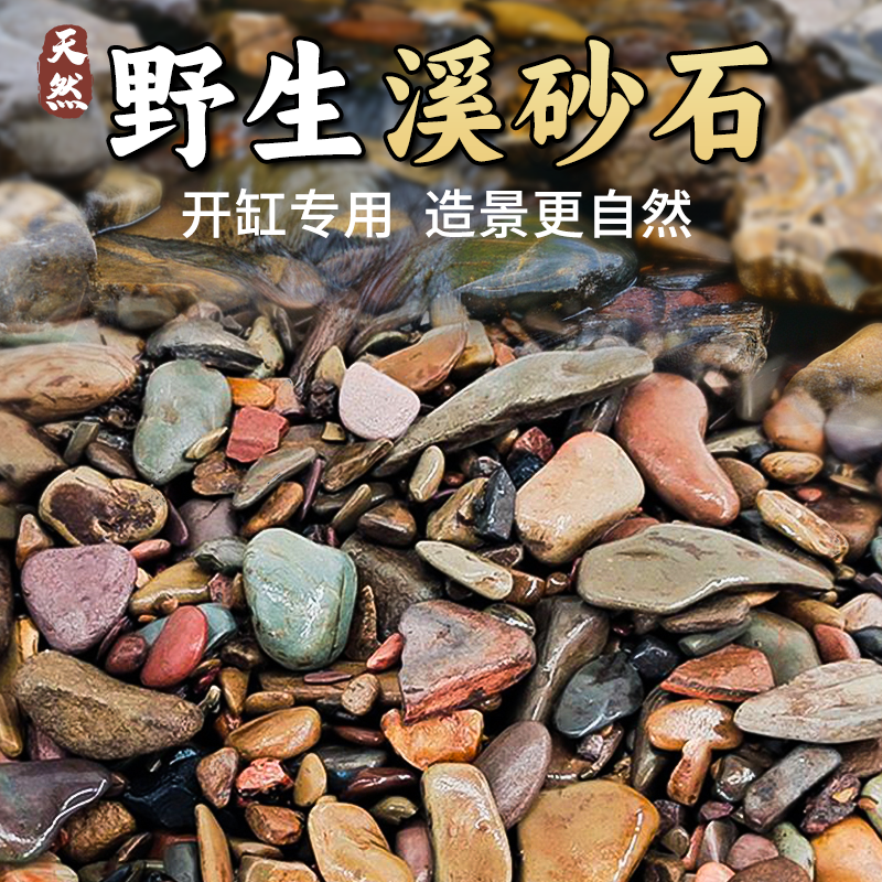 原生缸超细溪流沙造景装饰专用底部砂石子摆件天然雨林沙乌龟鳑鲏