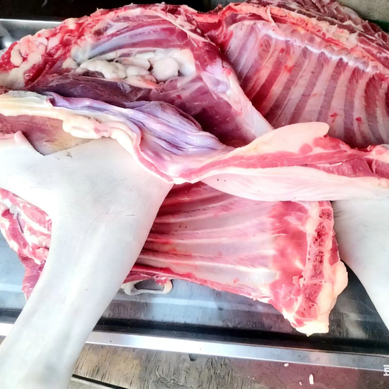 带皮带前腿新鲜冷冻羊排整扇切块发货