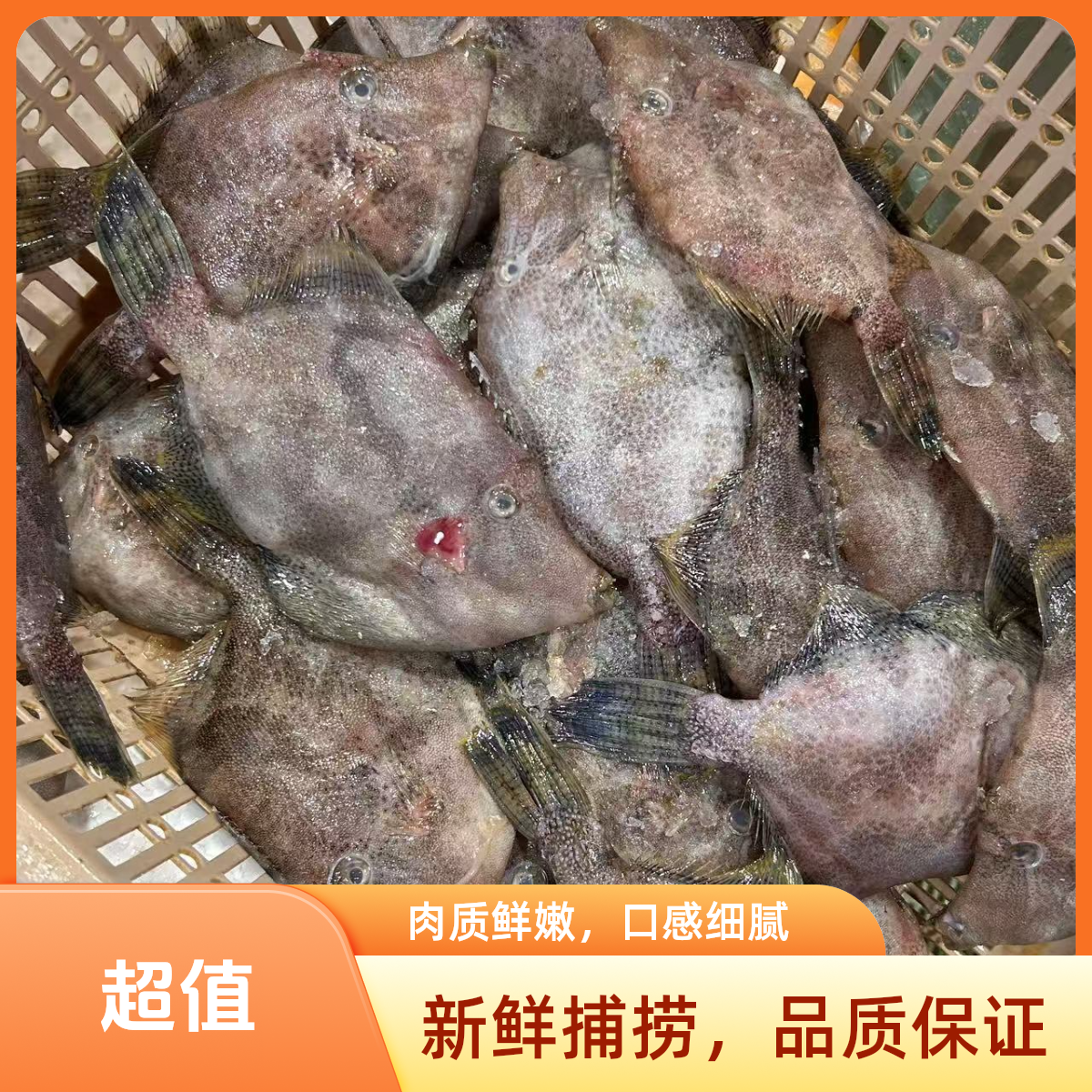 《同城配送》剥皮鱼1斤