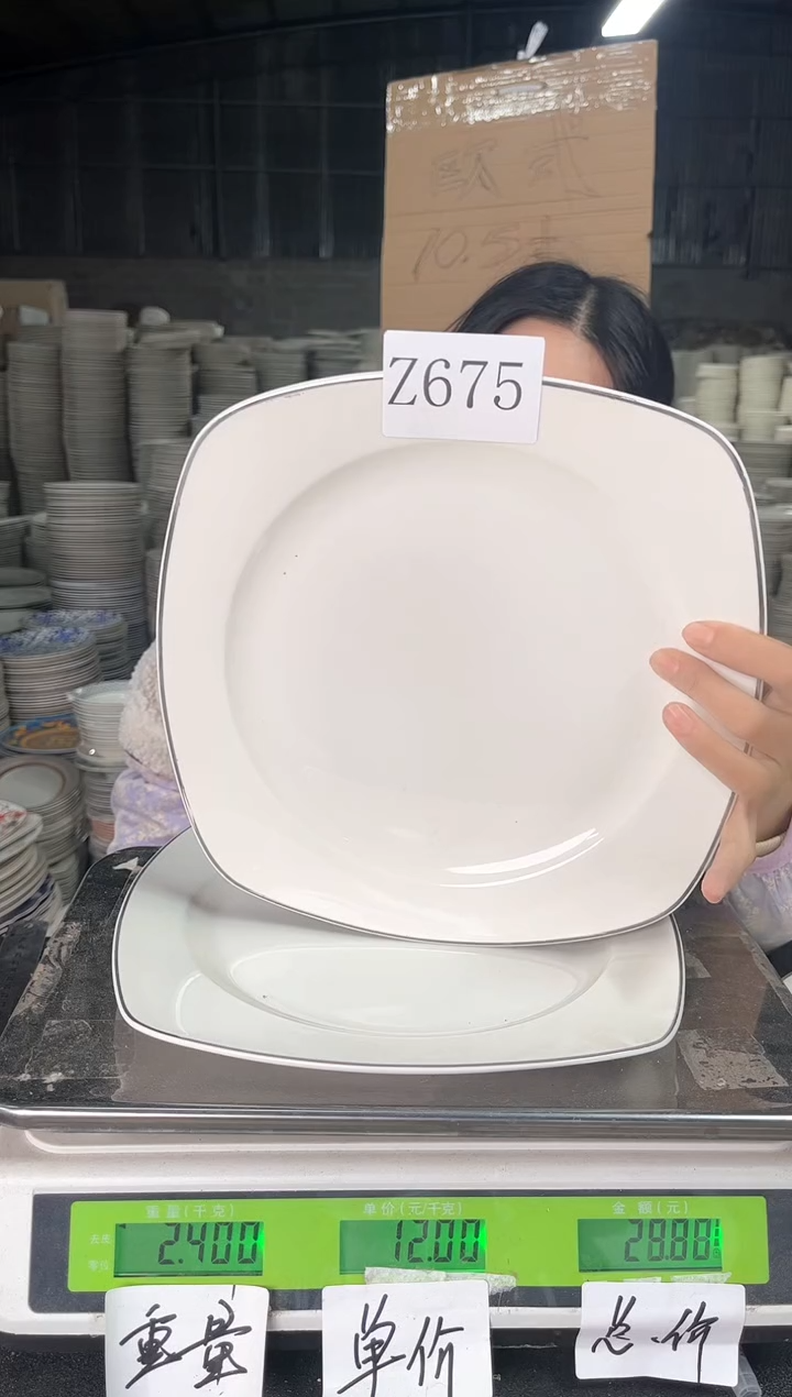 【闪购商品】搪瓷Z675  10.5寸  2个