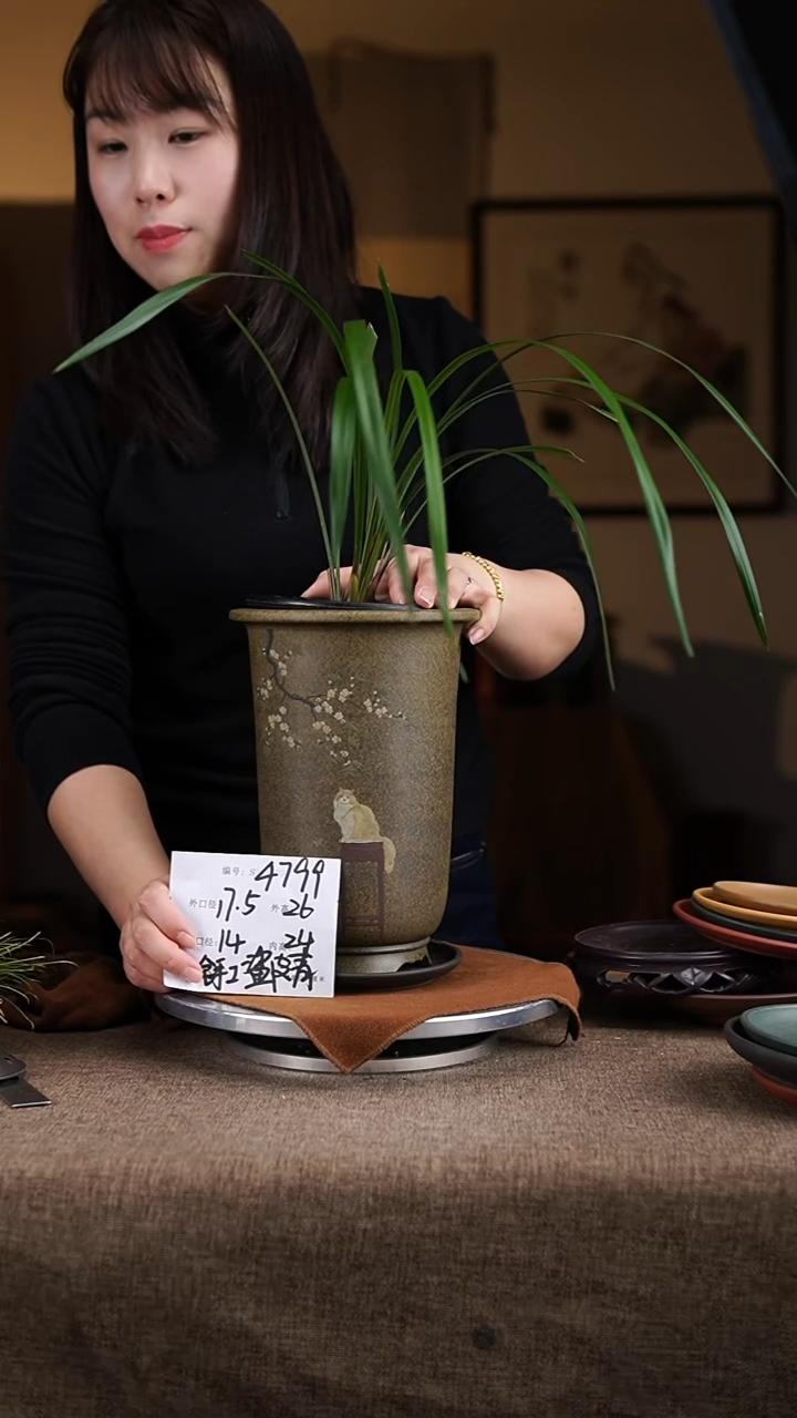 【闪购商品】紫砂花盆紫砂花盆4799+z