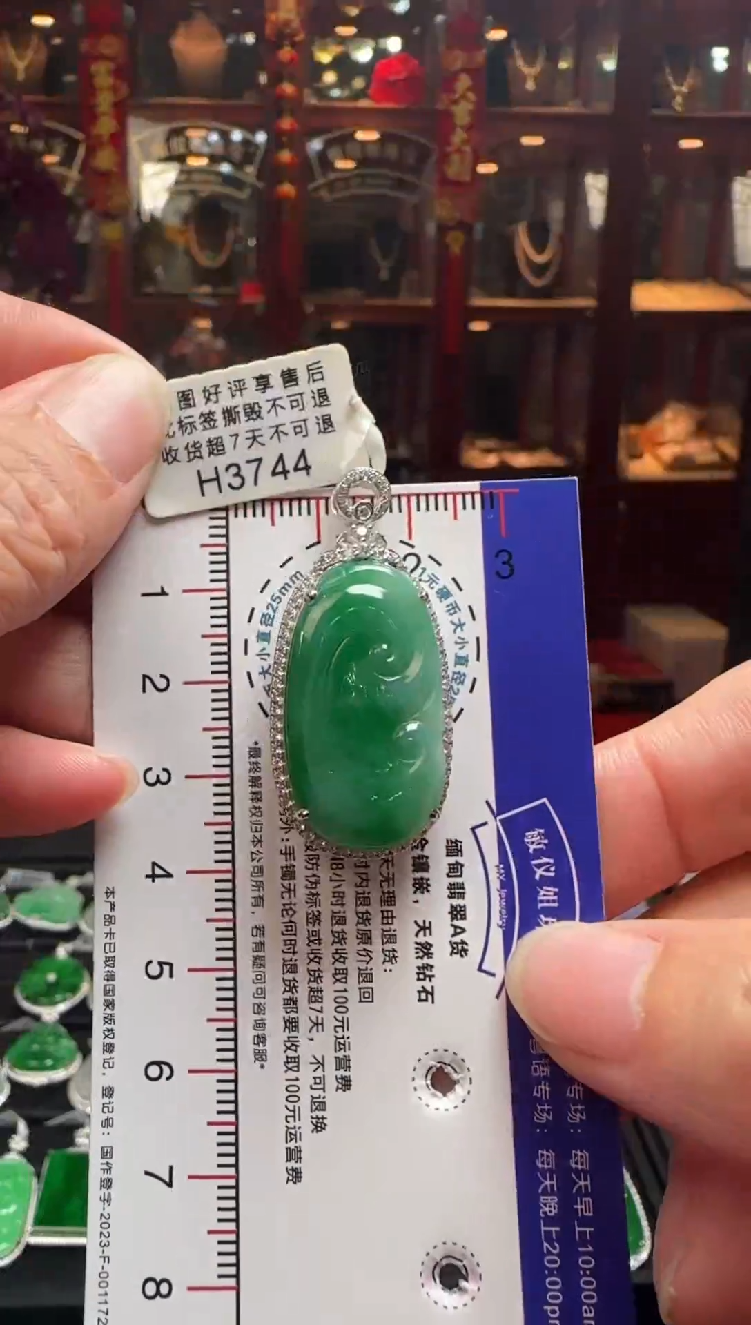 【闪购商品】翡翠颈饰18K金镶嵌H3744绿如意