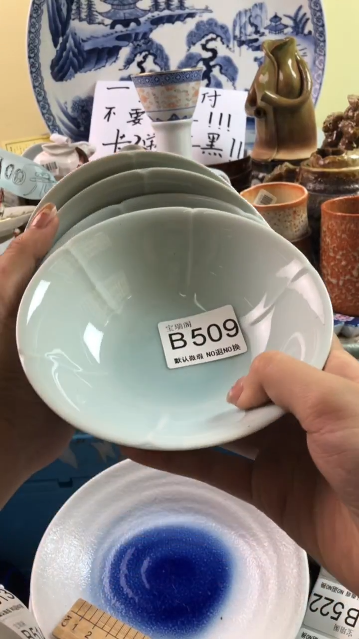 其他大**量默认微瑕 介意勿拍b509