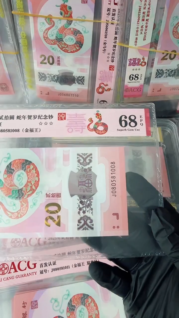 【闪购商品】2025年蛇钞单张J080581008