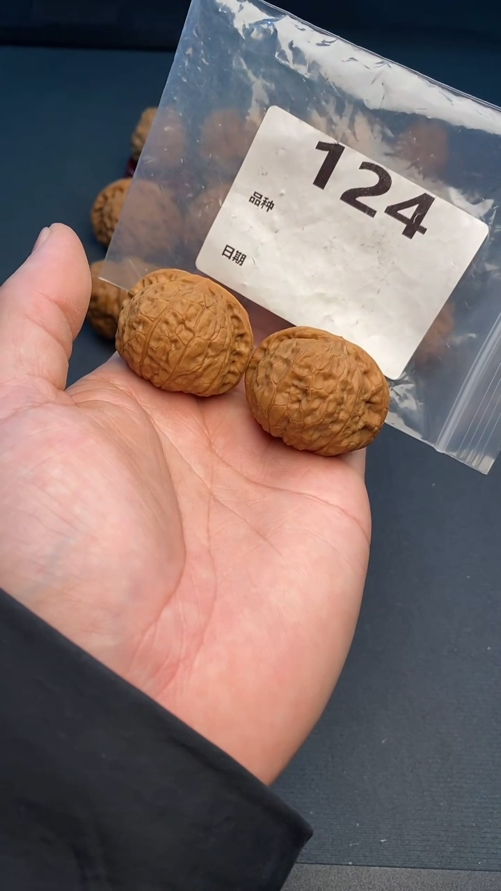 【闪购商品】文玩核桃吊坠124号41尺寸44肚南瓜