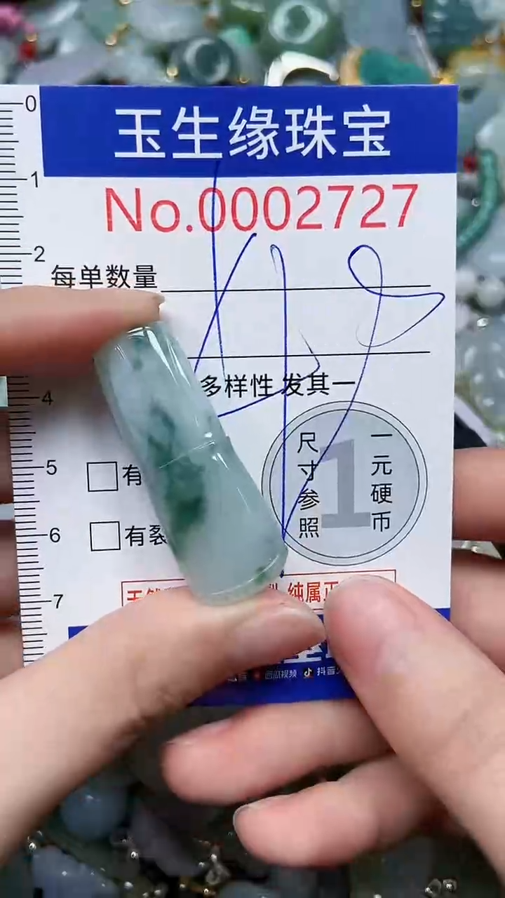 【闪购商品】翡翠颈饰未镶嵌闪购00002727