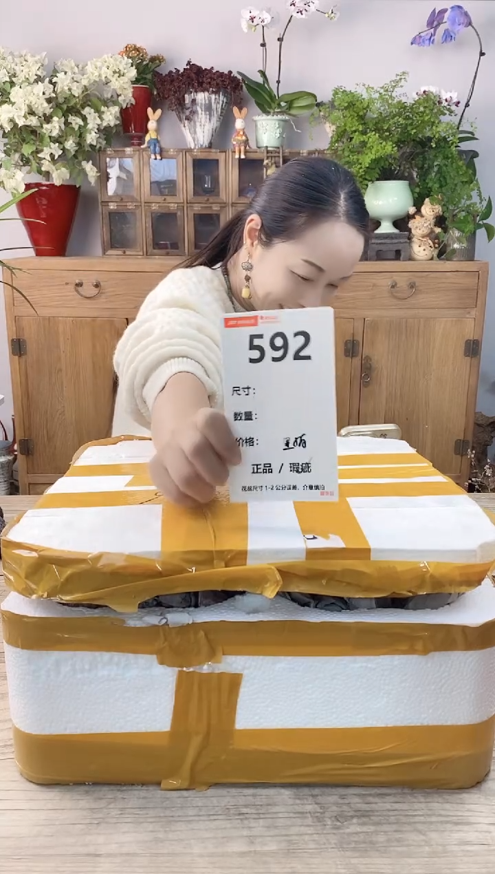 小玩子花盆直播编号592