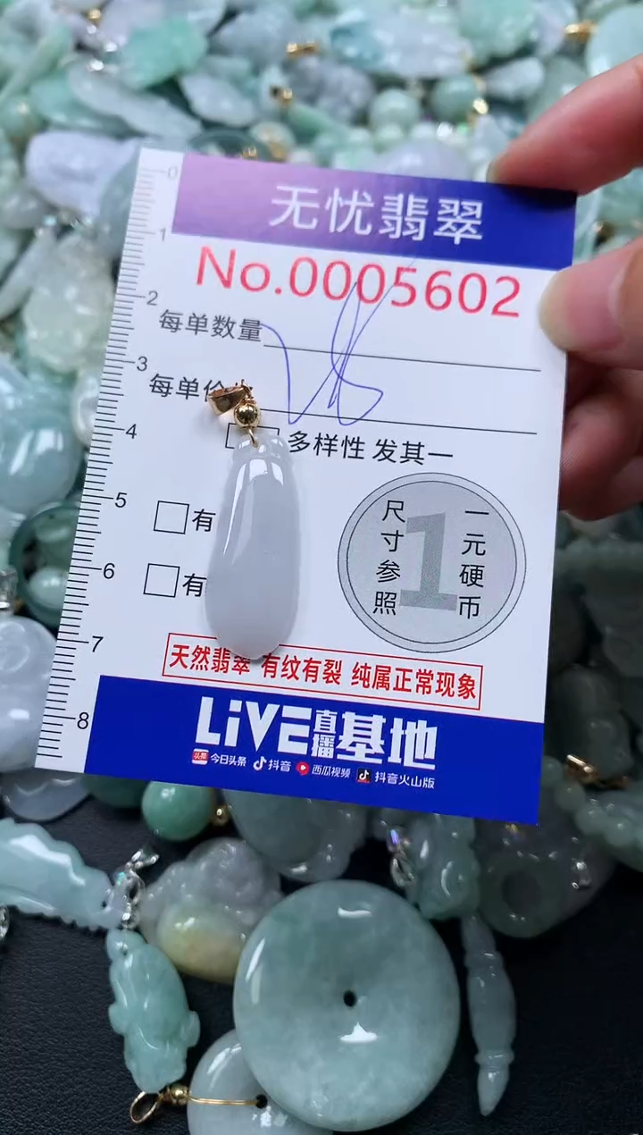 颈饰未镶嵌翡翠5602