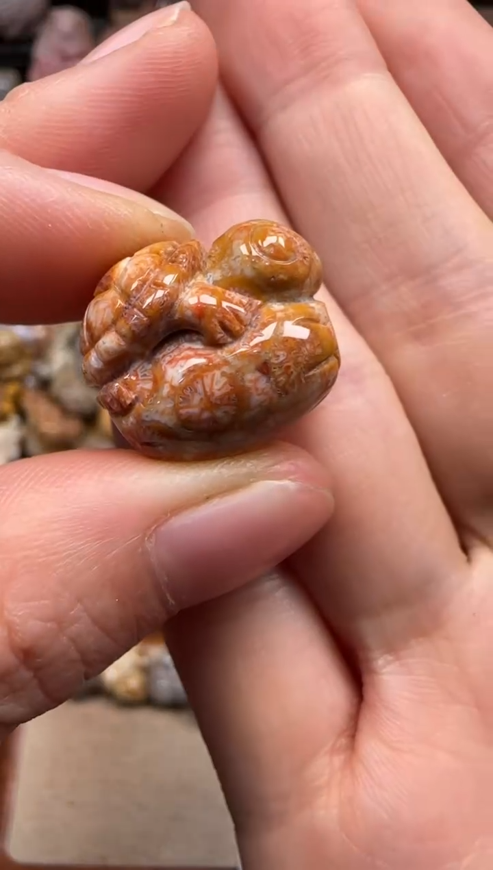 【闪购商品】硅化珊瑚（珊瑚玉）颈饰未镶嵌237