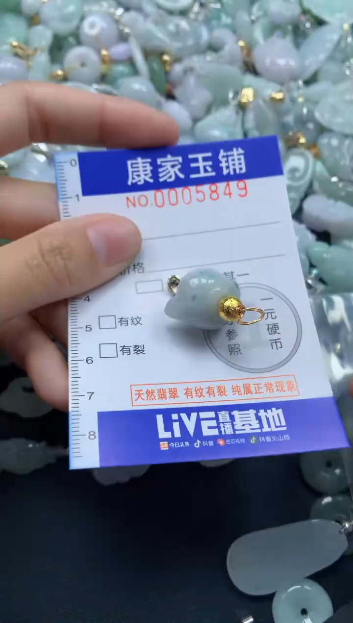 颈饰未镶嵌翡翠5849