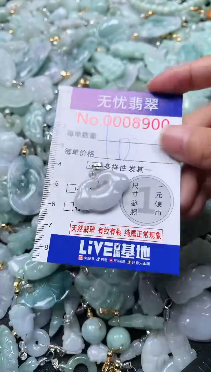 颈饰未镶嵌翡翠8900