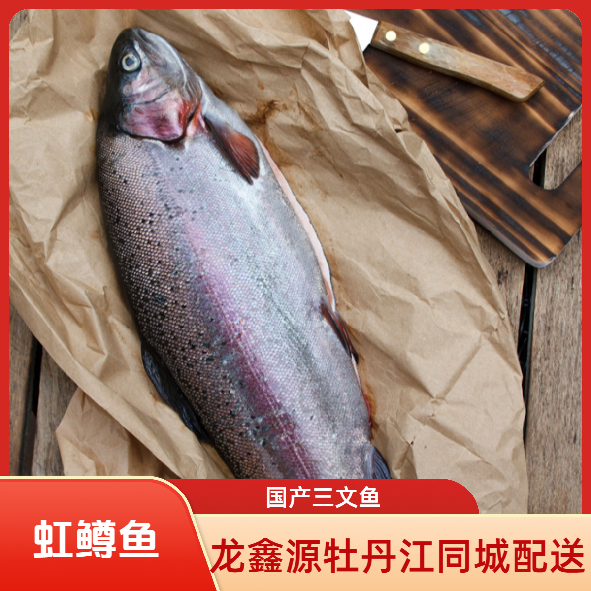 龙鑫源 虹鳟 国产三文鱼 牡丹江同城小时达