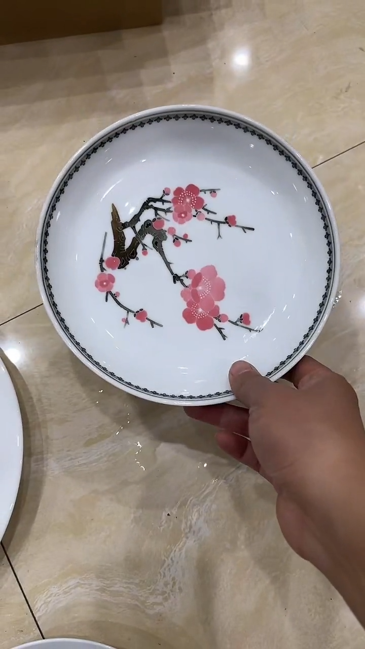 7寸深盘湖南醴陵釉下五彩陶瓷