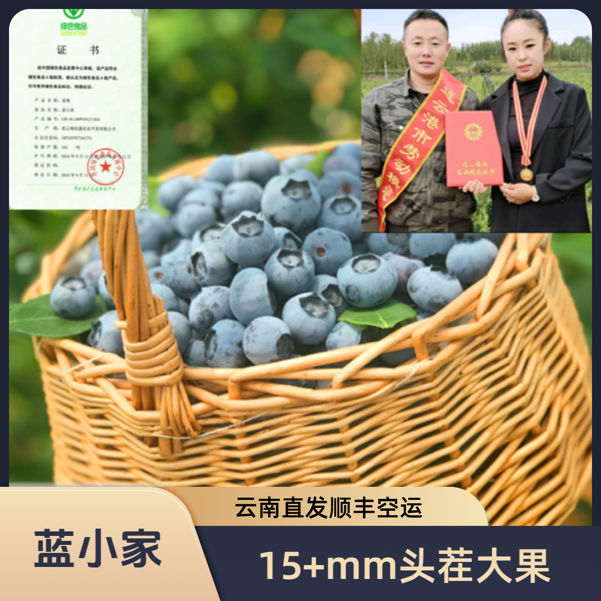 蓝小家S【15-18mm】大果蓝莓新鲜脆甜孕妇宝宝放心吃