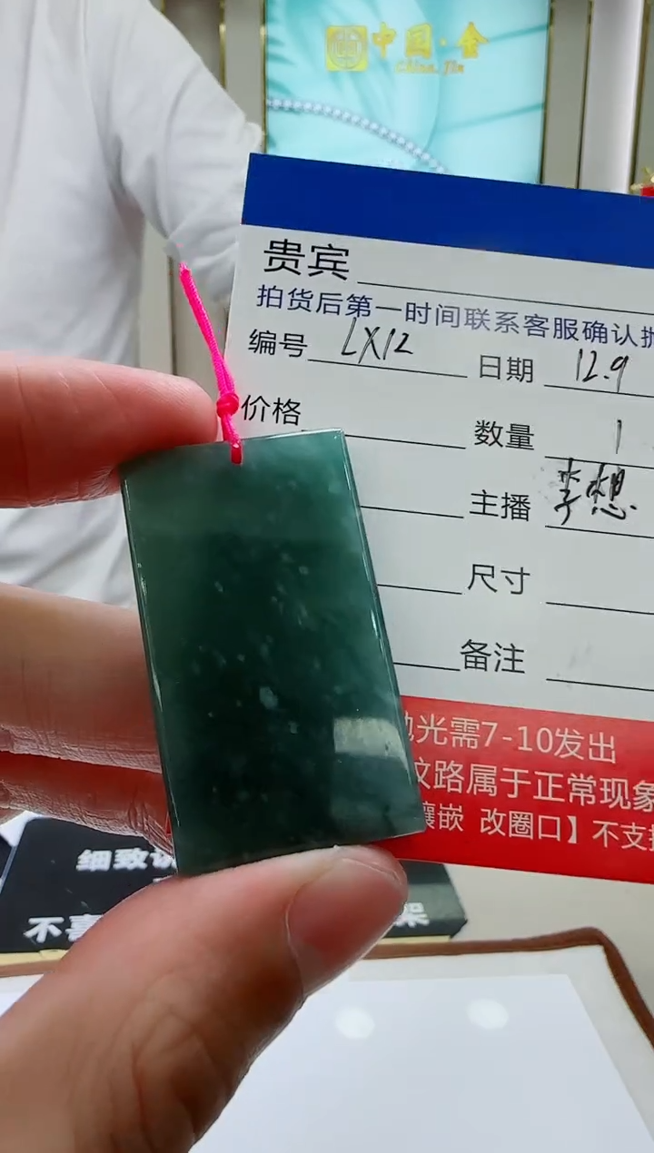 颈饰未镶嵌翡翠LX12翡翠吊坠-多样性发其一