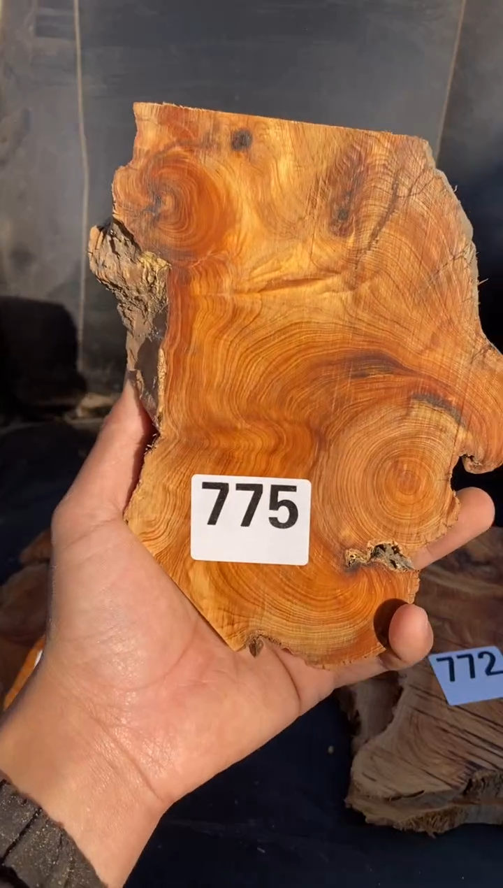 柏木（崖柏）太行陈化崖柏现场切片！随机（1单1片）775