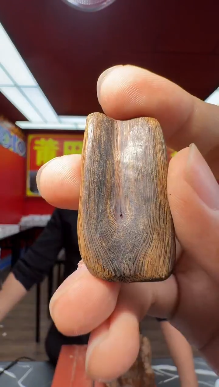 沉香吊坠e30尖峰岭多样性发一