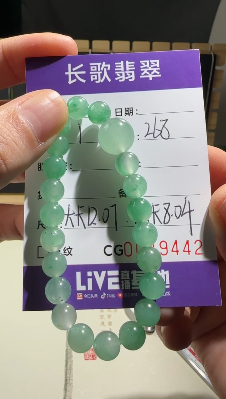 颈饰未镶嵌翡翠00009442