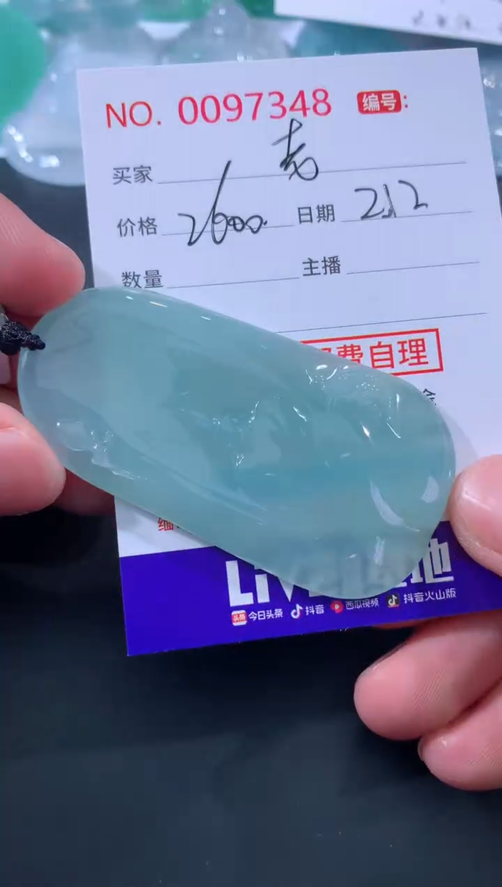 【闪购商品】翡翠颈饰未镶嵌衲