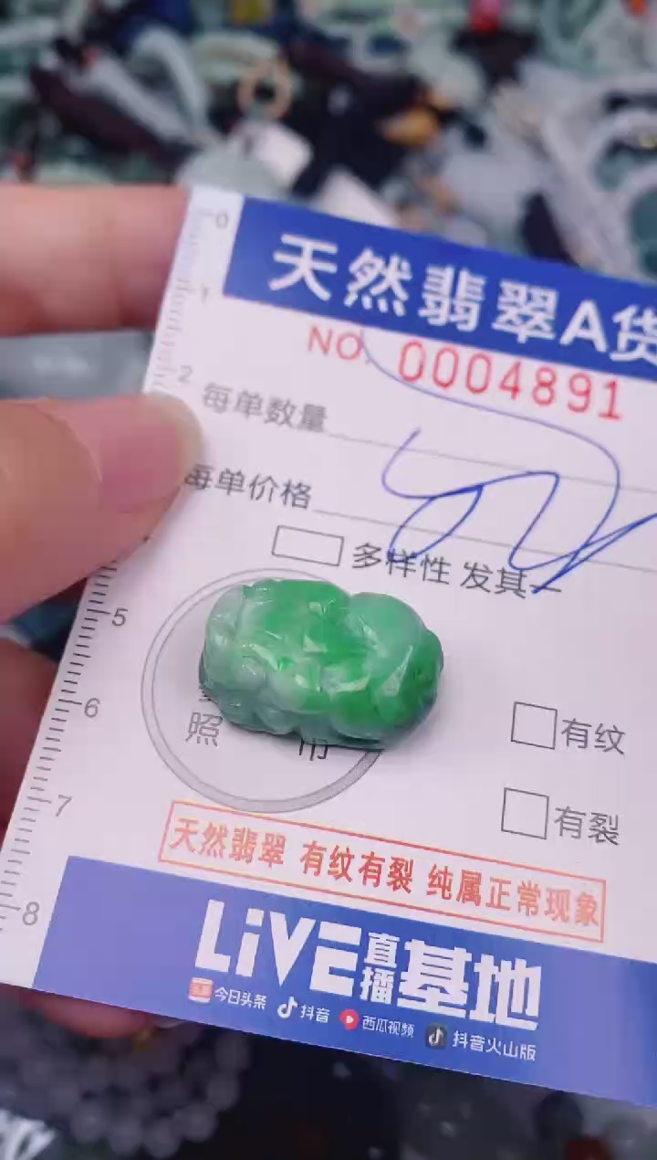 颈饰未镶嵌翡翠00004891