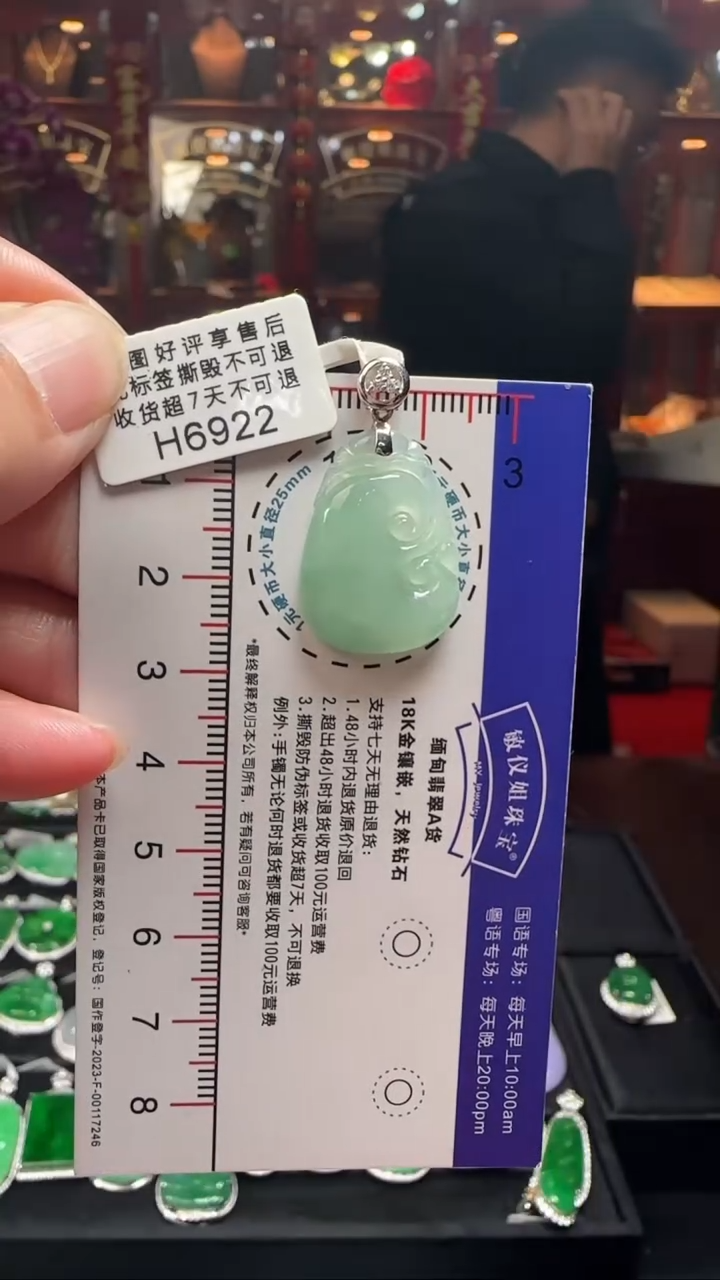 【闪购商品】翡翠颈饰18K金镶嵌H6922如意