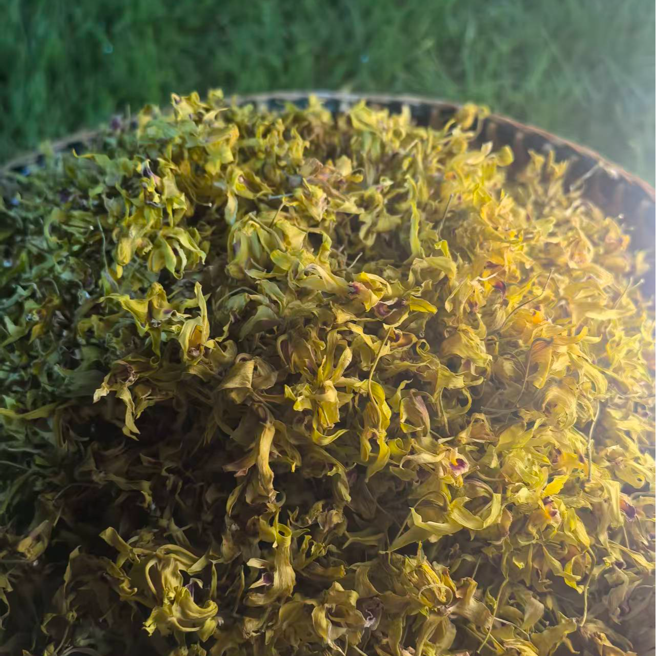 安徽霍山铁皮石斛花20g