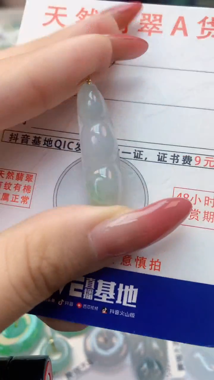 颈饰未镶嵌翡翠天然A货翡翠挂件