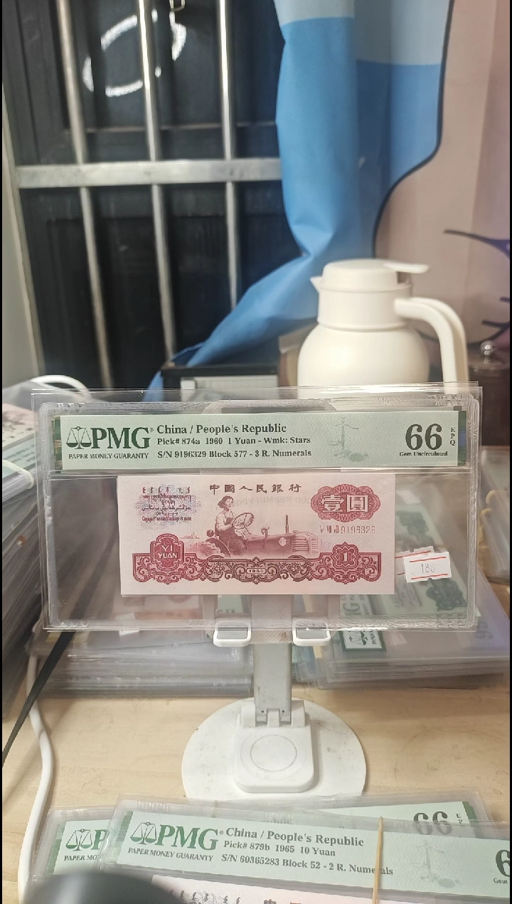 577冠意外冠强荧光一品红66分无47