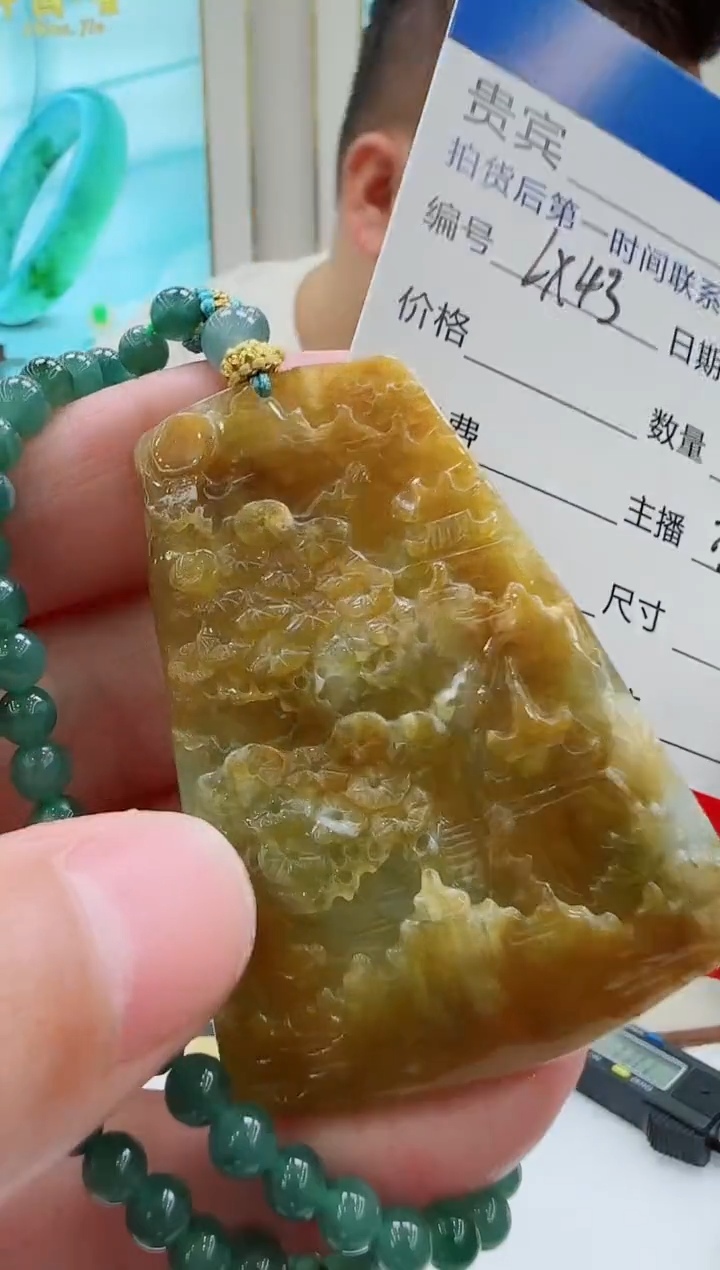 未镶嵌定制翡翠LX43翡翠吊坠赠珠链-多样性发其一
