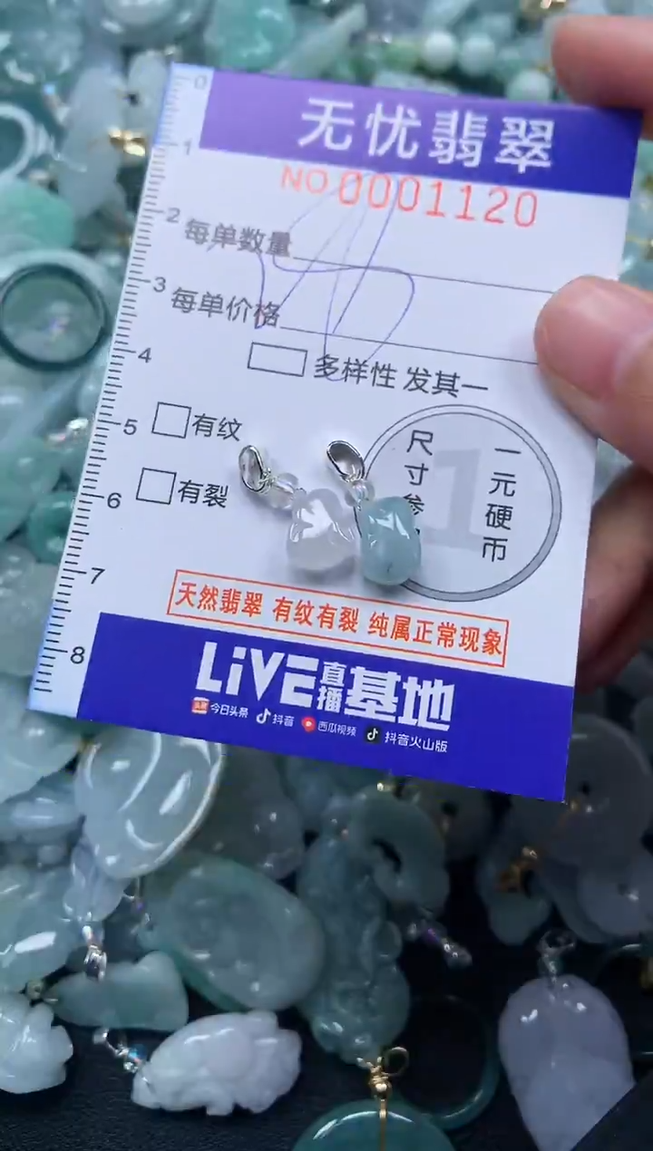 颈饰未镶嵌翡翠1120