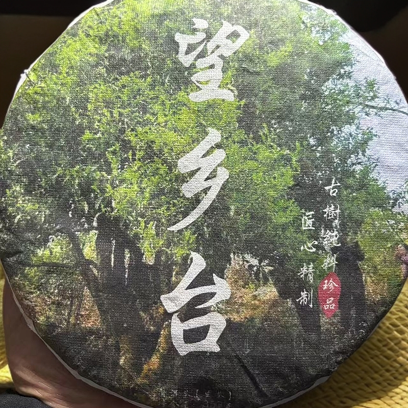 望乡台普洱茶生茶紧压茶357克饼2022年